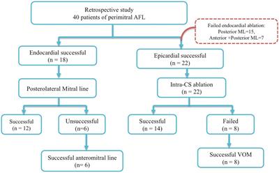 Electrophysiological characteristics of epicardial breakthrough during catheter ablation of perimitral atrial flutter